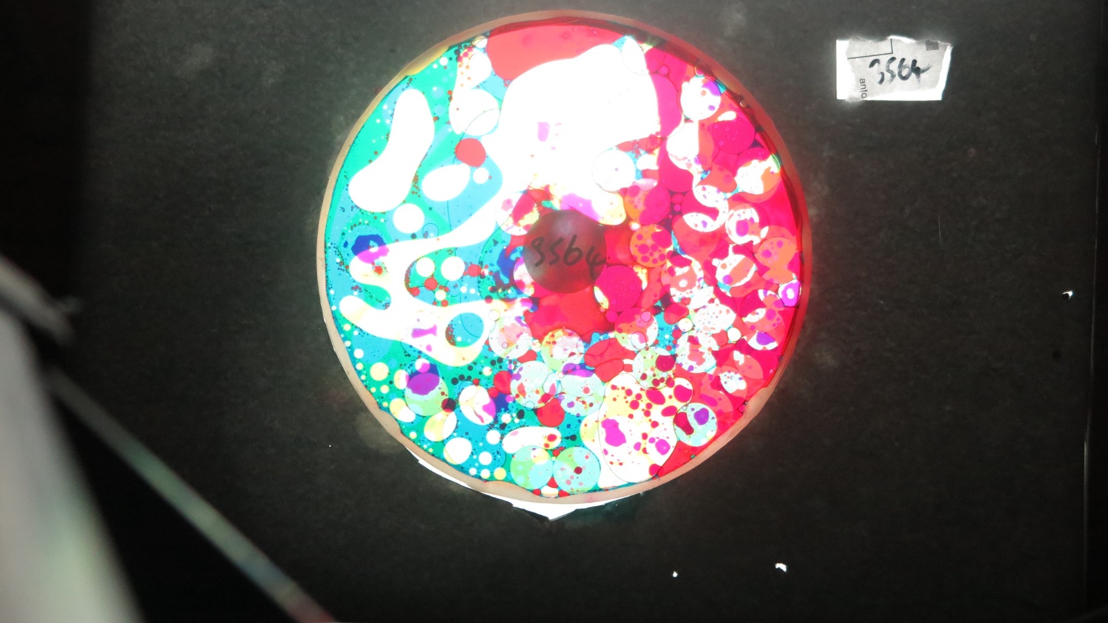 BV3564 bubble vision oil wheel